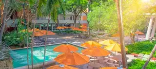 University of Miami School of Law, Coral Gables, FL